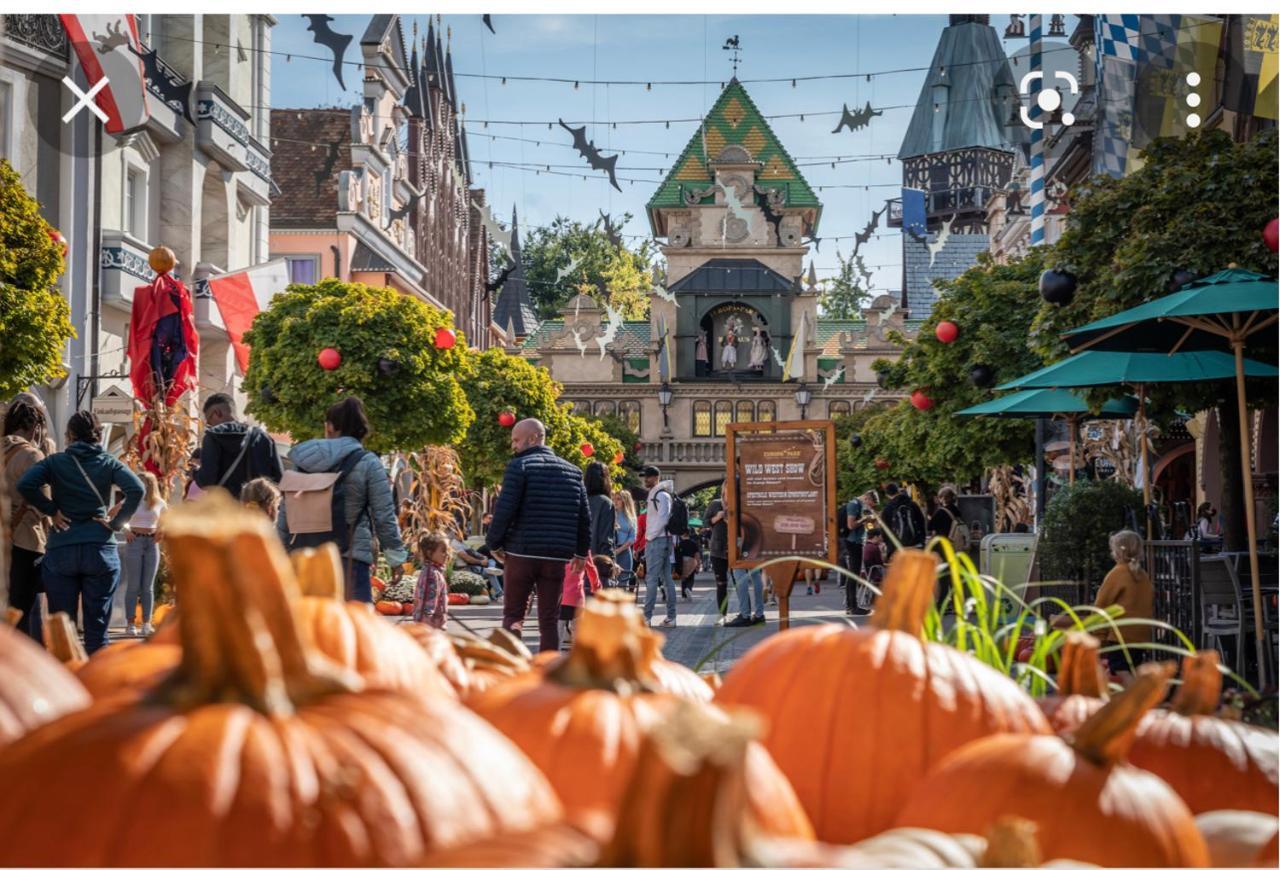 Location Mh Situee A 15 Mn D Europa Park Et Rulantika Appartement Boofzheim Buitenkant foto